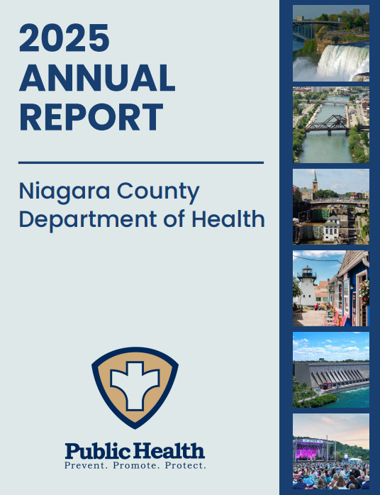 cover of annual report